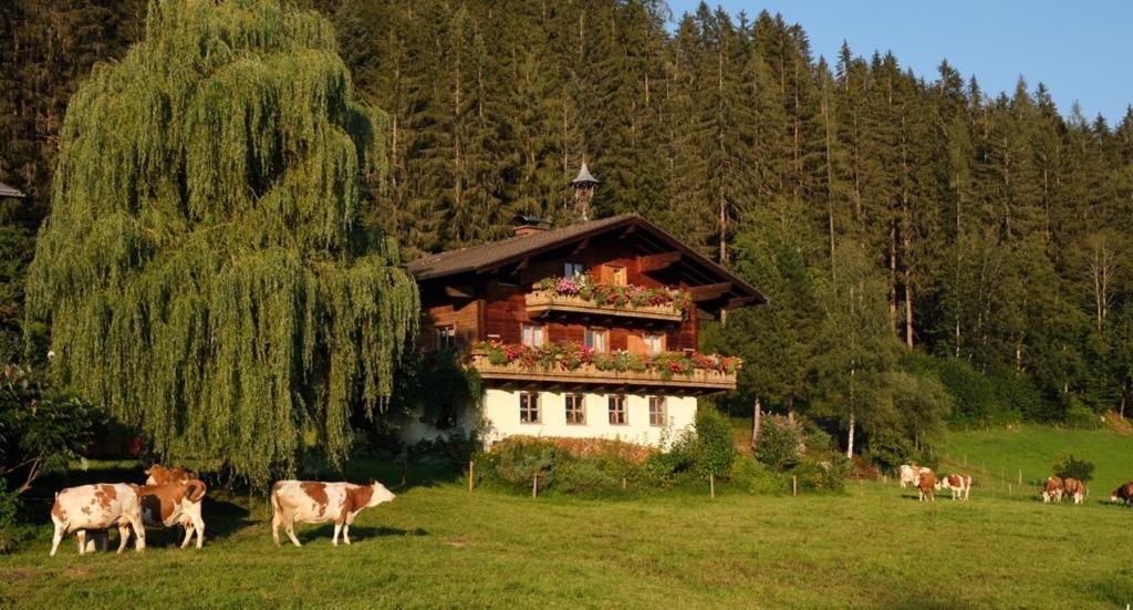 Ellmauhof Villa Pfarrwerfen Dış mekan fotoğraf