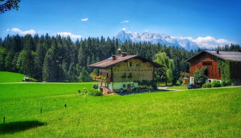 Ellmauhof Villa Pfarrwerfen Dış mekan fotoğraf