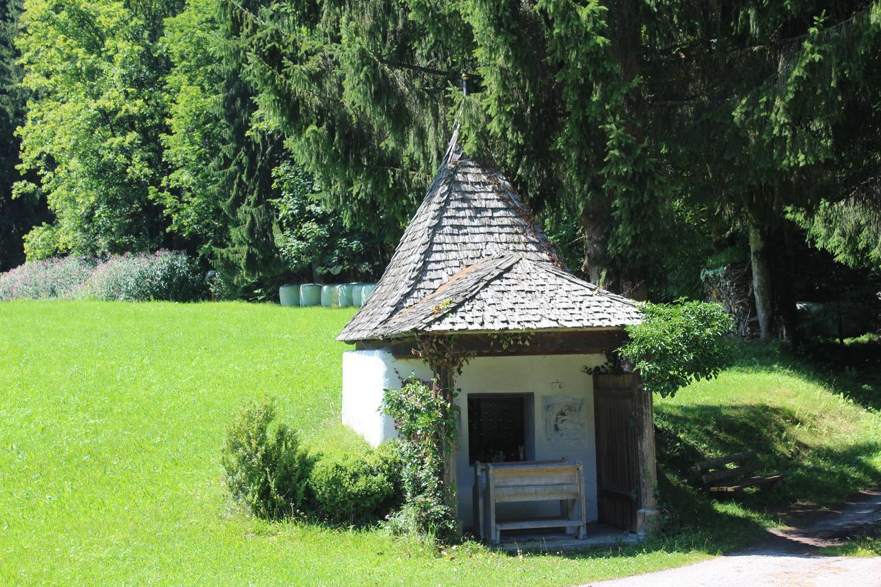 Ellmauhof Villa Pfarrwerfen Dış mekan fotoğraf