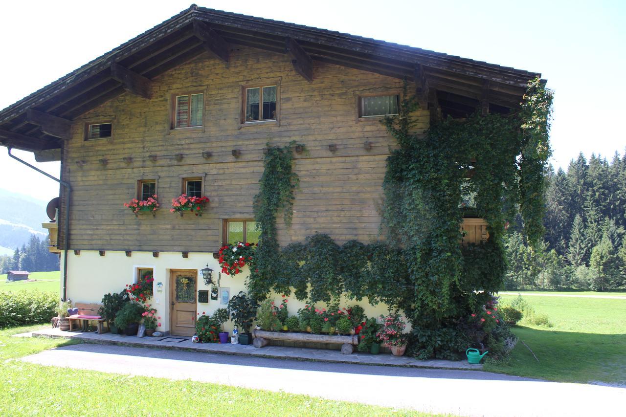 Ellmauhof Villa Pfarrwerfen Dış mekan fotoğraf